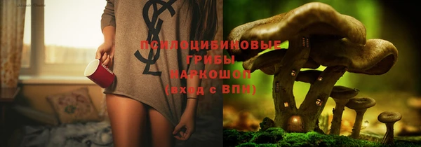 трава Абинск
