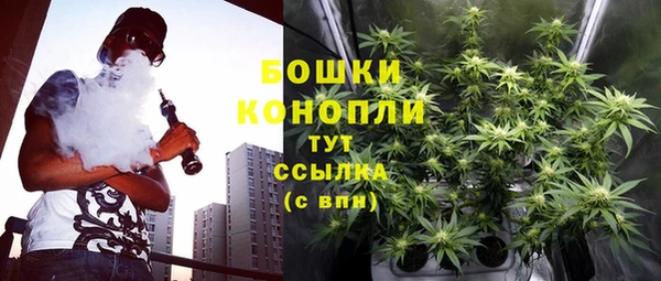 твердый Абаза