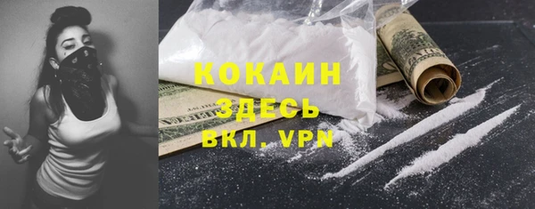твердый Абаза